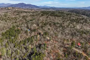 714 Deer Woods Trail, Cleveland, GA 30528 - Photo 47