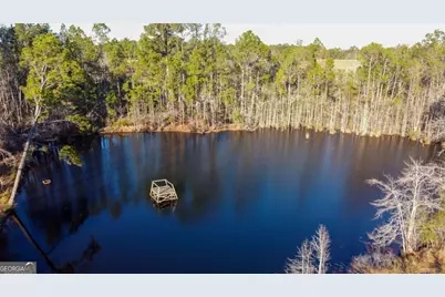 481 Clifford Purvis Road, Collins, GA 30421 - Photo 3