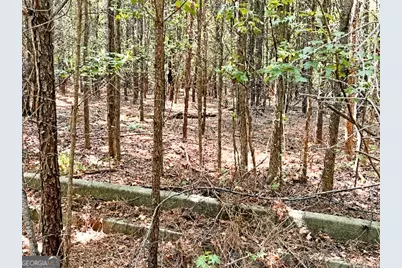 51 Ac Rex Road, Stockbridge, GA 30281 - Photo 11