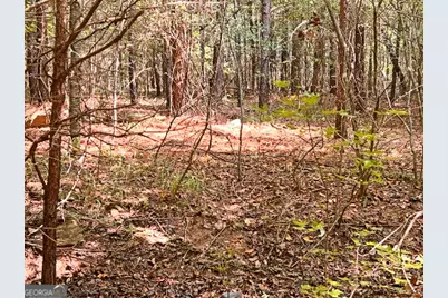 51 Ac Rex Road, Stockbridge, GA 30281 - Photo 13