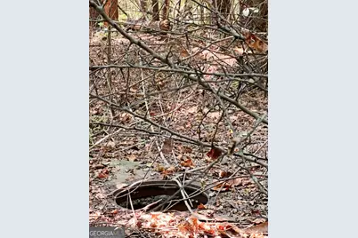 51 Ac Rex Road, Stockbridge, GA 30281 - Photo 17