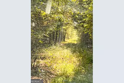 51 Ac Rex Road, Stockbridge, GA 30281 - Photo 7