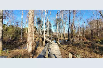 147 Brannen Landing Road, Midville, GA 30441 - Photo 3