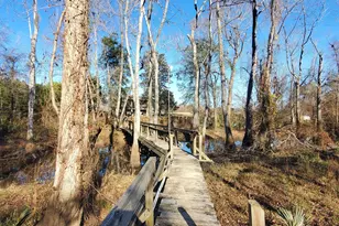 147 Brannen Landing Rd, Midville, GA 30441 - Photo 3