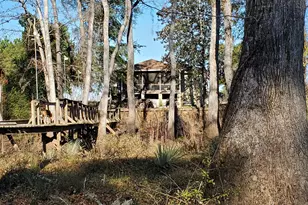 147 Brannen Landing Rd, Midville, GA 30441 - Photo 5