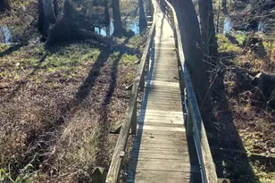 147 Brannen Landing Rd, Midville, GA 30441 - Photo 25