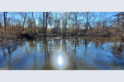 147 Brannen Landing Road, Midville, GA 30441 - Photo 11