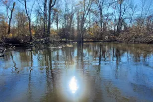 147 Brannen Landing Rd, Midville, GA 30441 - Photo 11