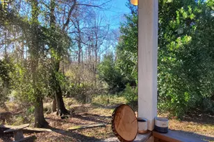 147 Brannen Landing Rd, Midville, GA 30441 - Photo 35