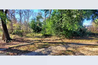 147 Brannen Landing Road, Midville, GA 30441 - Photo 29