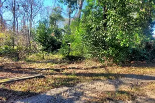 147 Brannen Landing Rd, Midville, GA 30441 - Photo 29