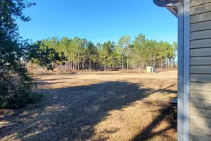 147 Brannen Landing Rd, Midville, GA 30441 - Photo 33