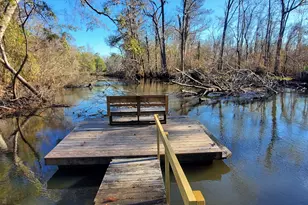 147 Brannen Landing Rd, Midville, GA 30441 - Photo 15