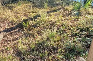 147 Brannen Landing Rd, Midville, GA 30441 - Photo 23