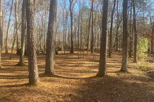 3353 Galts Rd, Acworth, GA 30102 - Photo 3