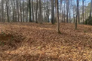 3353 Galts Rd, Acworth, GA 30102 - Photo 7