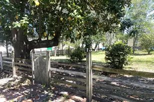 402 E 17th Ave, Cordele, GA 31015 - Photo 5