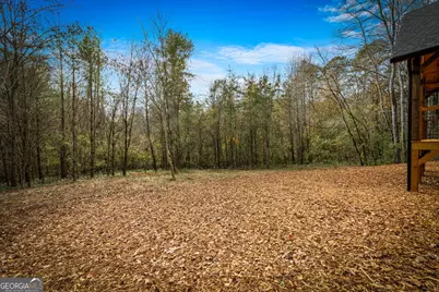 40 Cherry Street, East Ellijay, GA 30539 - Photo 53