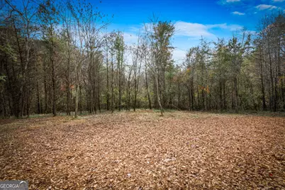 40 Cherry Street, East Ellijay, GA 30539 - Photo 37