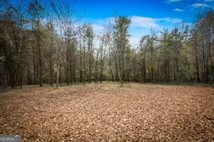 40 Cherry St, East Ellijay, GA 30539 - Photo 37