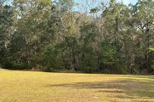 11817 Ga Hwy 99, Darien, GA 31305 - Photo 17