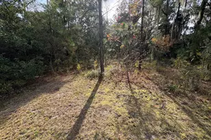 11817 Ga Hwy 99, Darien, GA 31305 - Photo 19