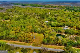 11817 Ga Hwy 99, Darien, GA 31305 - Photo 45