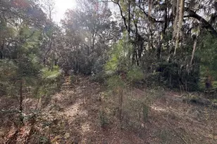 11817 Ga Hwy 99, Darien, GA 31305 - Photo 13