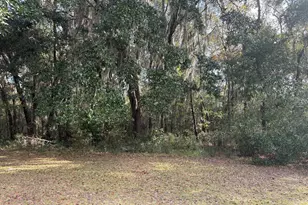 11817 Ga Hwy 99, Darien, GA 31305 - Photo 15