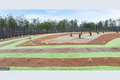 265 Sound Circle #152, Stockbridge, GA 30281 - Photo 47