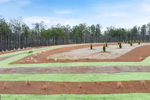 265 Sound Cir, Stockbridge, GA 30281 - Photo 47