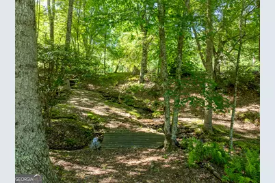 724 Fish Cove Road, Blairsville, GA 30512 - Photo 29