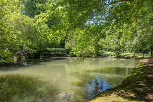 724 Fish Cove Rd, Blairsville, GA 30512 - Photo 25