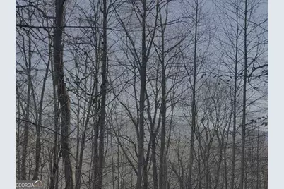 228 Flat Rock Valley Road, Blairsville, GA 30512 - Photo 27