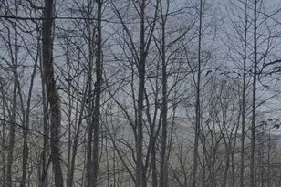 228 Flat Rock Valley Rd, Blairsville, GA 30512 - Photo 27