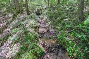 228 Flat Rock Valley Rd, Blairsville, GA 30512 - Photo 25