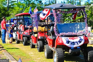 209 Maddington Ct, Senoia, GA 30276 - Photo 3