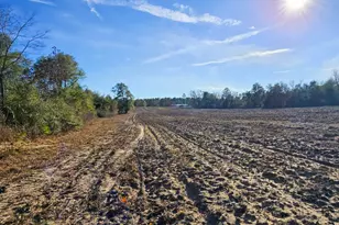 831 Ga Hwy 90 E, Rupert, GA 31081 - Photo 23