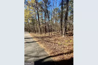 0 Warbler Lane #LOT 59, Monticello, GA 31064 - Photo 7