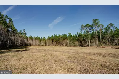 321 Mae Lane, Baxley, GA 31513 - Photo 7