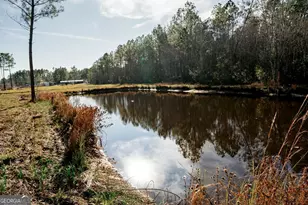 321 Mae Ln, Baxley, GA 31513 - Photo 9