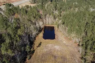 321 Mae Ln, Baxley, GA 31513 - Photo 3