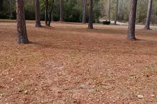 124 Redwood Dr, Folkston, GA 31537 - Photo 5