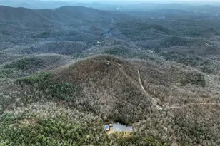 260 Observation Ln, Blue Ridge, GA 30513 - Photo 91