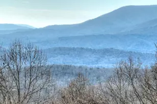 260 Observation Ln, Blue Ridge, GA 30513 - Photo 7