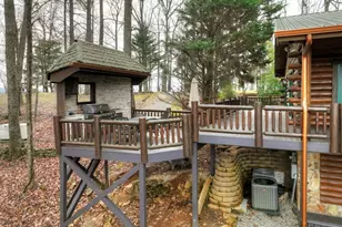 260 Observation Ln, Blue Ridge, GA 30513 - Photo 99