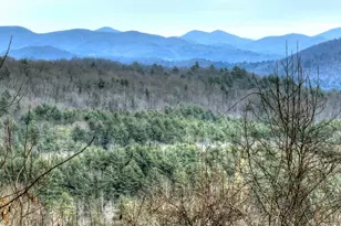 260 Observation Ln, Blue Ridge, GA 30513 - Photo 3