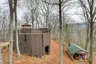 260 Observation Ln, Blue Ridge, GA 30513 - Photo 85