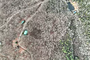 260 Observation Ln, Blue Ridge, GA 30513 - Photo 89