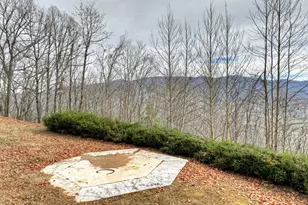 260 Observation Ln, Blue Ridge, GA 30513 - Photo 87